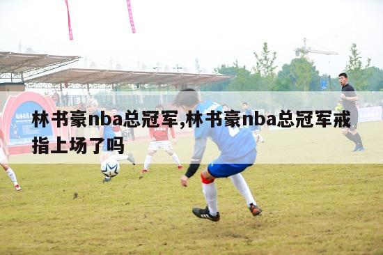 林书豪nba总冠军,林书豪nba总冠军戒指上场了吗