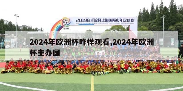 2024年欧洲杯咋样观看,2024年欧洲杯主办国