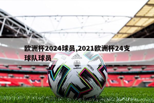 欧洲杯2024球员,2021欧洲杯24支球队球员