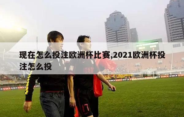 现在怎么投注欧洲杯比赛,2021欧洲杯投注怎么投