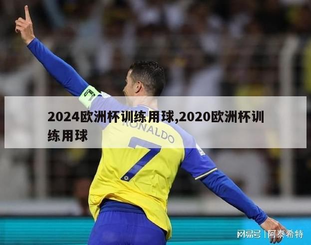 2024欧洲杯训练用球,2020欧洲杯训练用球