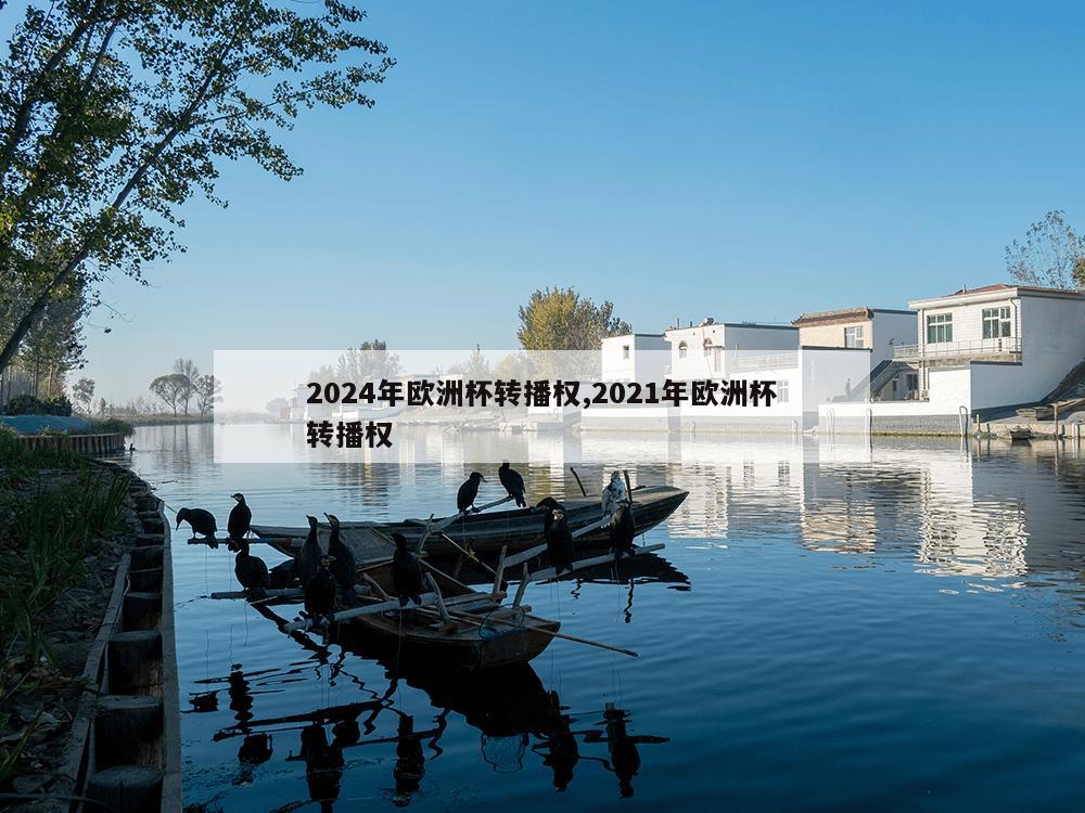 2024年欧洲杯转播权,2021年欧洲杯转播权