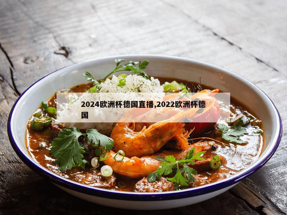 2024欧洲杯德国直播,2022欧洲杯德国