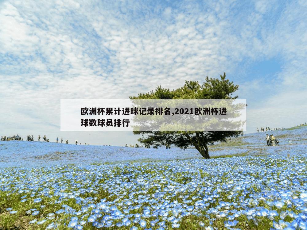 欧洲杯累计进球记录排名,2021欧洲杯进球数球员排行