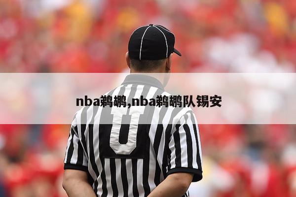 nba鹈鹕,nba鹈鹕队锡安