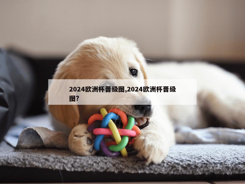 2024欧洲杯晋级图,2024欧洲杯晋级图?