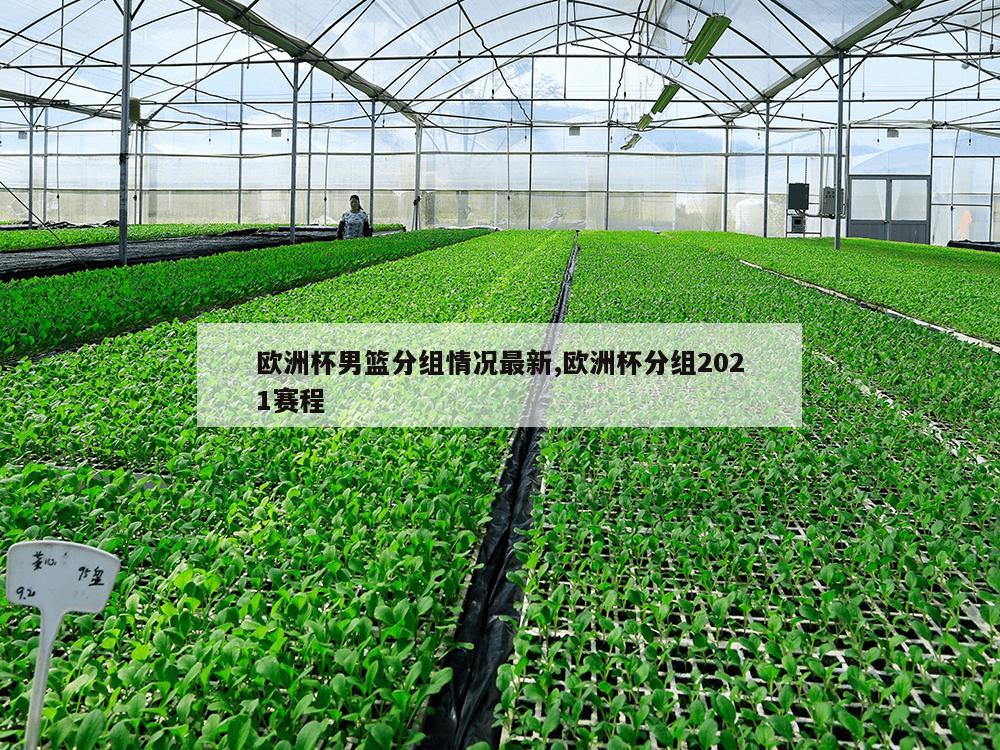 欧洲杯男篮分组情况最新,欧洲杯分组2021赛程