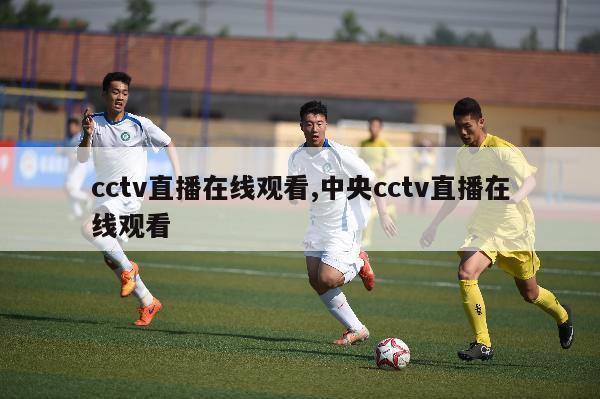 cctv直播在线观看,中央cctv直播在线观看